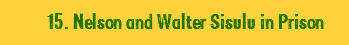  15. Nelson and Walter Sisulu in Prison